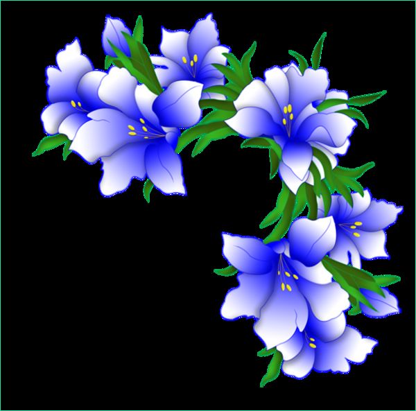 Dessin Fleur Png Beau Photos Fleurs Bleues Dessin