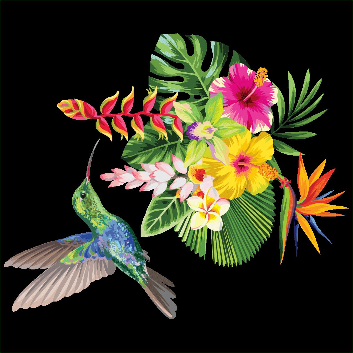 Dessin Fleur Png Bestof Photographie Sticker Fleurs Tropicales Et Colibri – Stickers Stickers