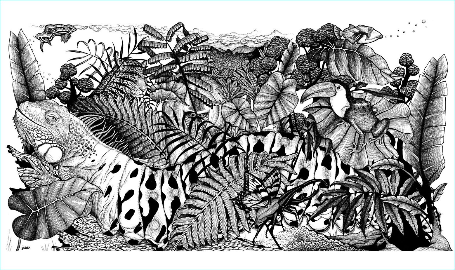 Dessin fortnite Noir Et Blanc Cool Galerie Jungle Animaux Caméléons Et Lézards Coloriages