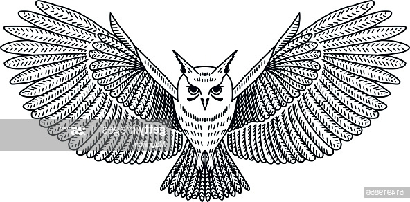 Dessin Grand Beau Stock Vector Flying Owl High Res Vector Graphic Getty