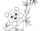 Dessin Panda à Colorier Nouveau Stock Coloriage Panda Accroché à Une Branche
