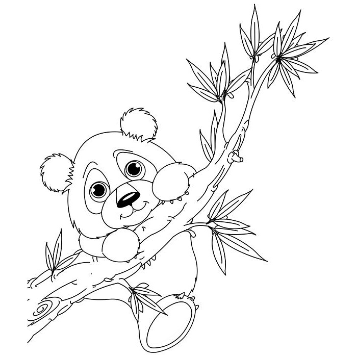 Dessin Panda à Colorier Nouveau Stock Coloriage Panda Accroché à Une Branche