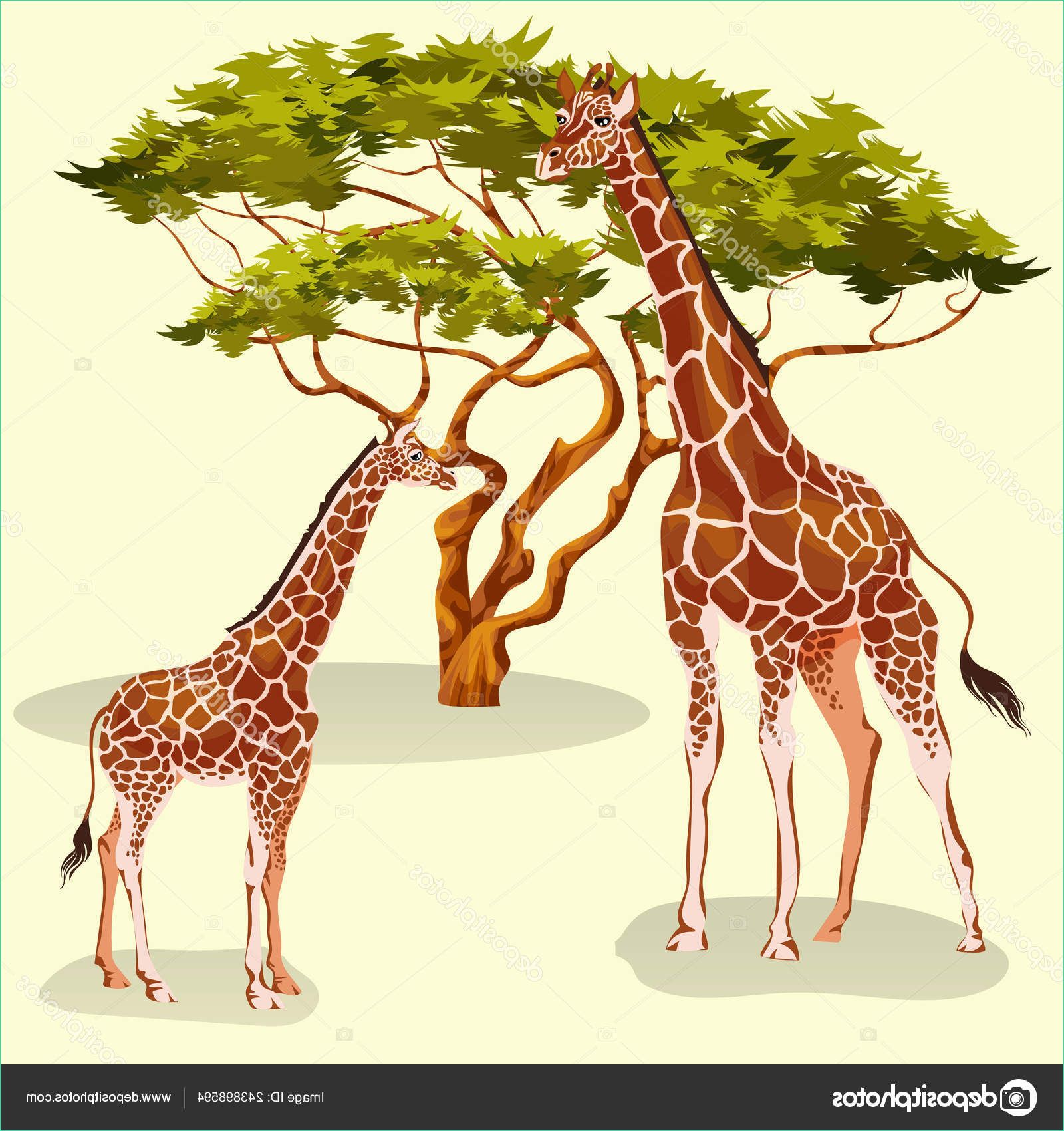 Dessin Savane Luxe Galerie Dessin Animé Girafes Manger Le Feuillage Des Arbres D