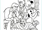 Dessin Scooby Doo Bestof Photos 118 Dessins De Coloriage Scooby Doo à Imprimer Sur