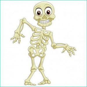 Dessin Squelette Halloween Élégant Photos Squelette Humain Drôle De Bande Dessinée