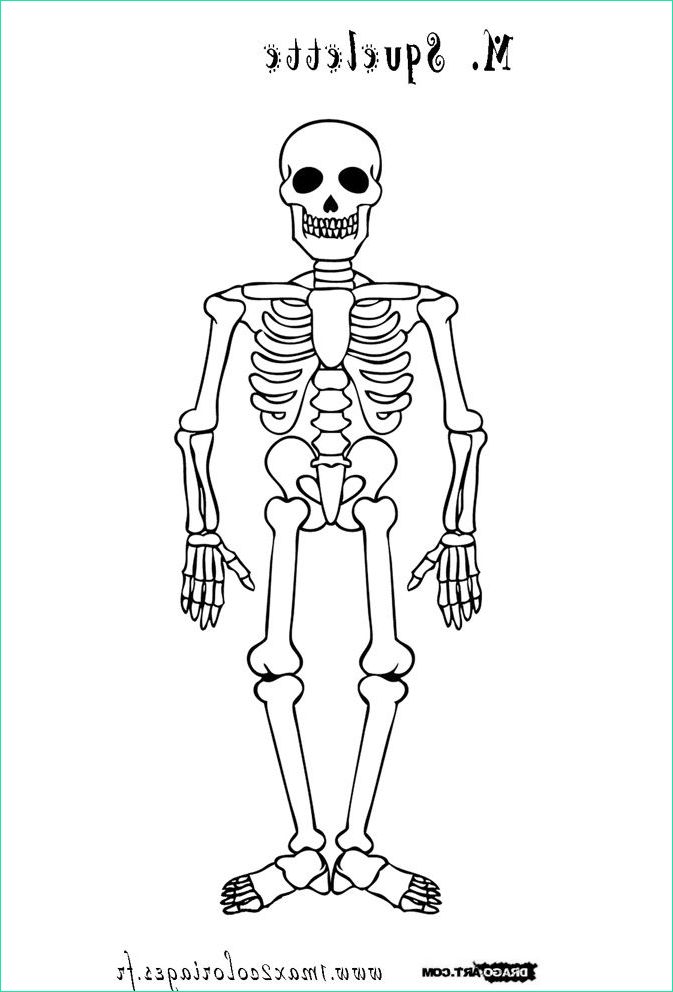Dessin Squelette Halloween Unique Image Coloriage M Squelette Avec Images