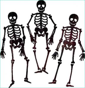 Dessin Squelette Halloween Unique Images Squelettes Png Dessin Tube Halloween Skeletons Png