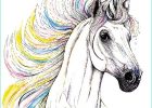 Dessin Unicorn Impressionnant Photos Drawing Of the Week A Rainbow Unicorn