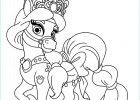 Dessins à Colorier Disney Cool Photos Coloriage Lapis Princess Disney Jecolorie
