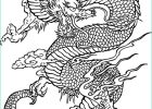 Dragon Chinois Dessin Facile Élégant Image Coloriage Dragon Chinois à Imprimer
