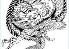Dragon Chinois Dessin Facile Élégant Stock Coloriage Dragon Chinois Maternelle Dessin Gratuit à Imprimer