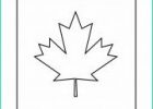Drapeau Canada à Colorier Inspirant Photos Coloriage Canada Gratuit à Imprimer