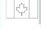 Drapeau Canada à Colorier Unique Photographie Coloriage Drapeau Du Canada Canadian Flag Dessin