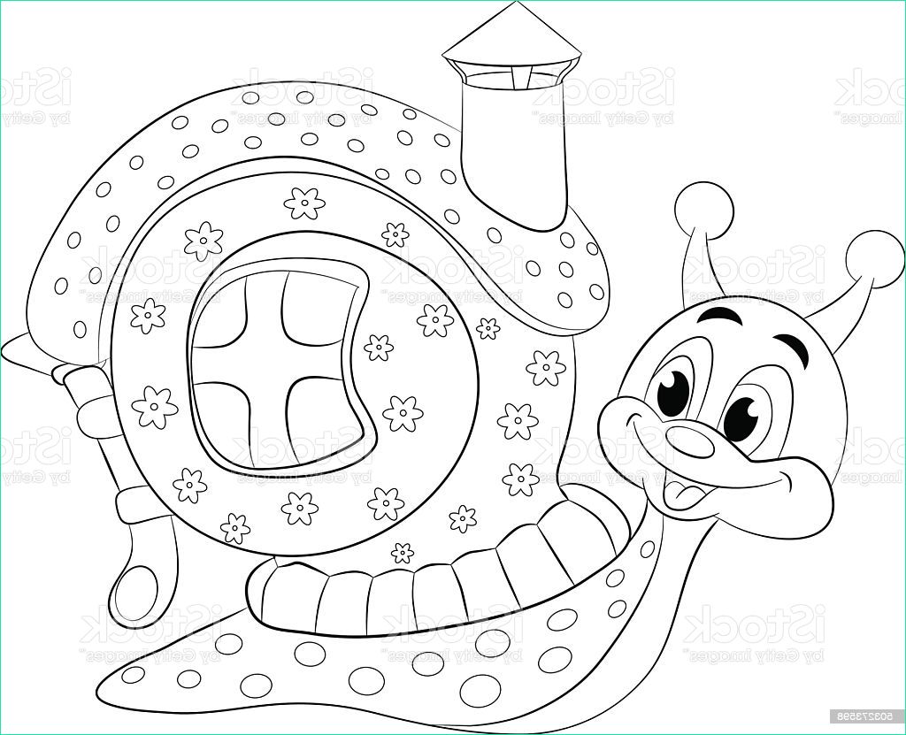 Escargot Dessin Impressionnant Photographie Escargot Drôle En Dessin Animé Avec Maison Livre De