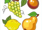 Fruits Dessins Luxe Stock Fruits Images Gratuites Clipart à Télécharger Fruits Et