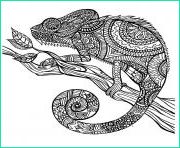 Mandala Cameleon Bestof Images Very Difficult Sugar Skull for Adults Coloring Pages Printable