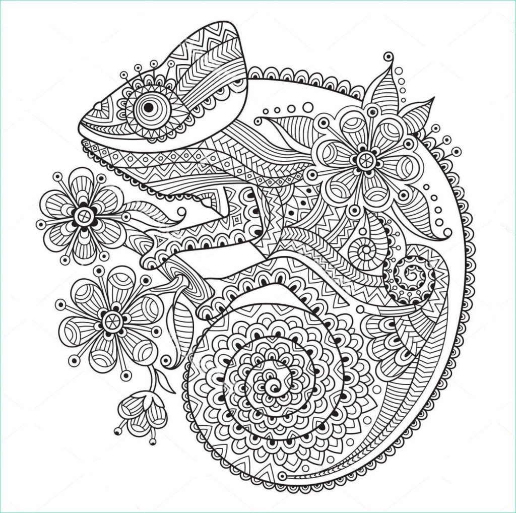 11 Inspirant De Mandala Cameleon Collection - Coloriage : Coloriage