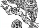 Mandala Cameleon Nouveau Images Cameleon Patterns Chameleons & Lizards Adult Coloring Pages