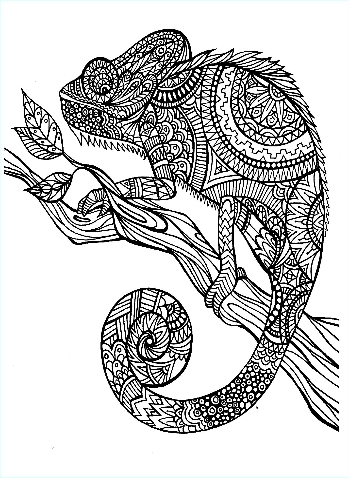 Mandala Cameleon Nouveau Images Cameleon Patterns Chameleons &amp; Lizards Adult Coloring Pages