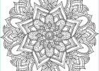 Mandala Difficile Animaux Élégant Photos 12 Pratique Coloriage Mandala Animaux Graph