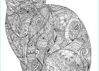 Mandala Difficile Animaux Luxe Collection Mandala Animaux Difficile Cool Galerie Coloriage Chat