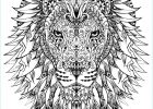 Mandala Difficile Animaux Nouveau Photos Difficile Tete Lion