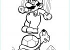 Mario à Colorier Inspirant Photos Dessin Mario Kart 8