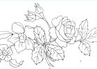 Motif Fleur Noir Et Blanc Impressionnant Photos Lys Tribal Tatouages Dessin Fleur Expoimages