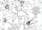 Motif Fleur Noir Et Blanc Luxe Photographie Monochrome Transparente Motif De Fleurs De Lys Floral