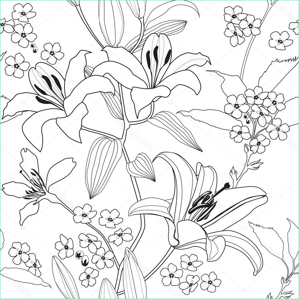 Motif Fleur Noir Et Blanc Luxe Photographie Monochrome Transparente Motif De Fleurs De Lys Floral