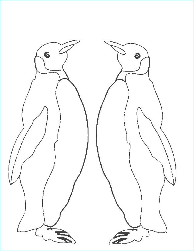 Pingouin Coloriage Élégant Photographie Coloriage Pingouin à Imprimer Gratuitement