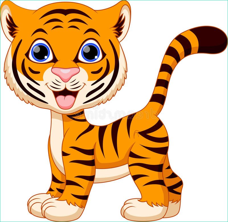 Tigre Cartoon Cool Stock Cute Tiger Cartoon Stock Illustration Illustration Of