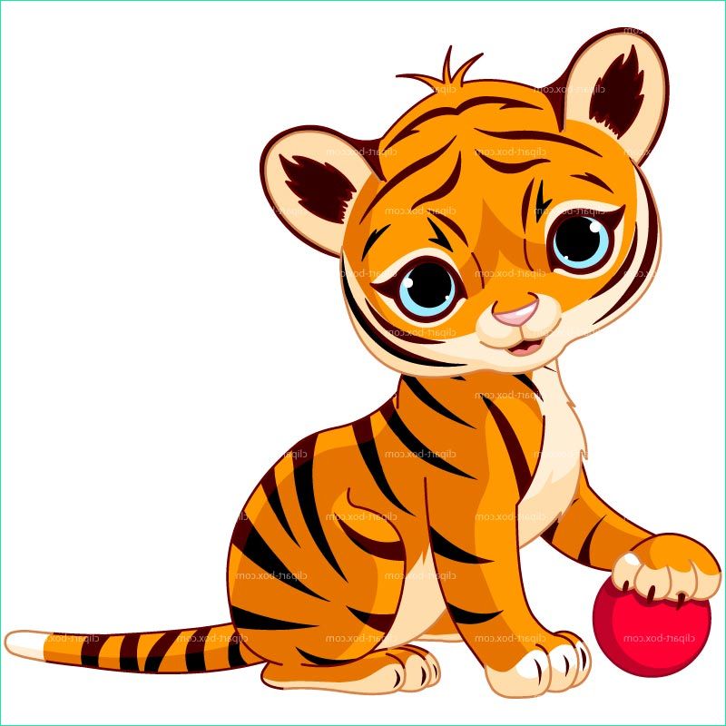 Tigre Cartoon Nouveau Images Tiger Clipart Free