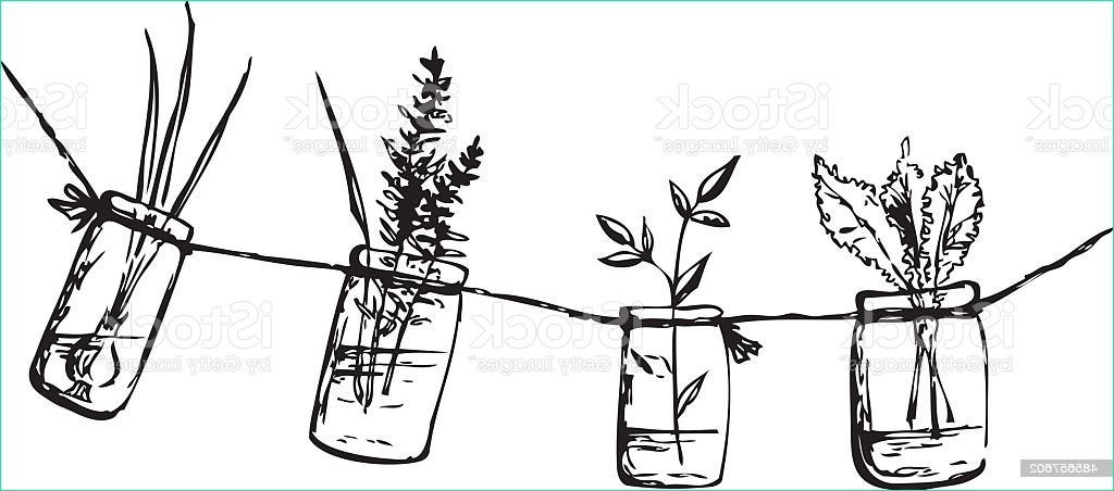 Vegetation Dessin Beau Photos Ink Drawing with Greenery Stock Vector Art &amp; More