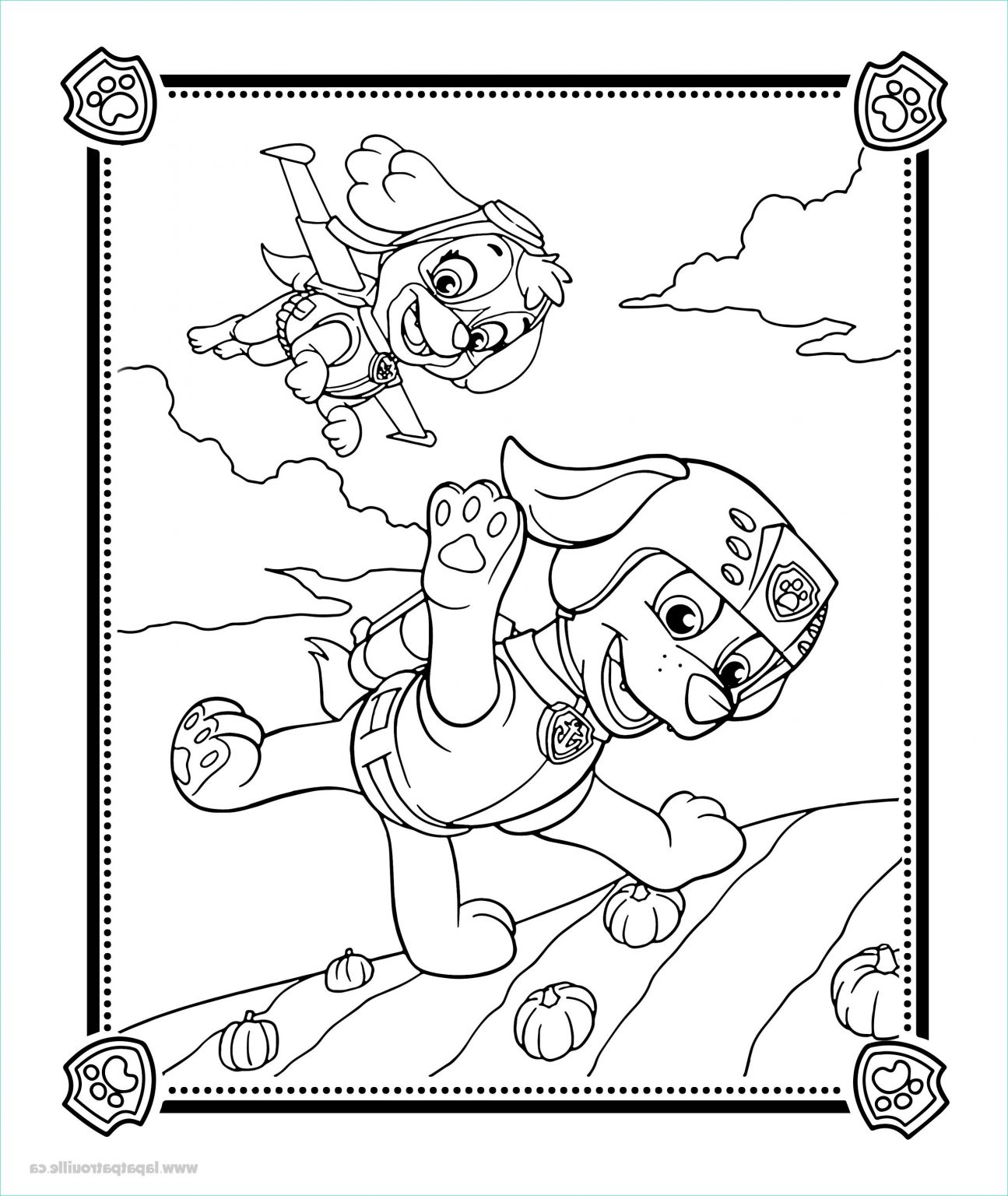 Zuma Pat Patrouille Dessin Beau Photos Coloriage De Coloriage De Zuma