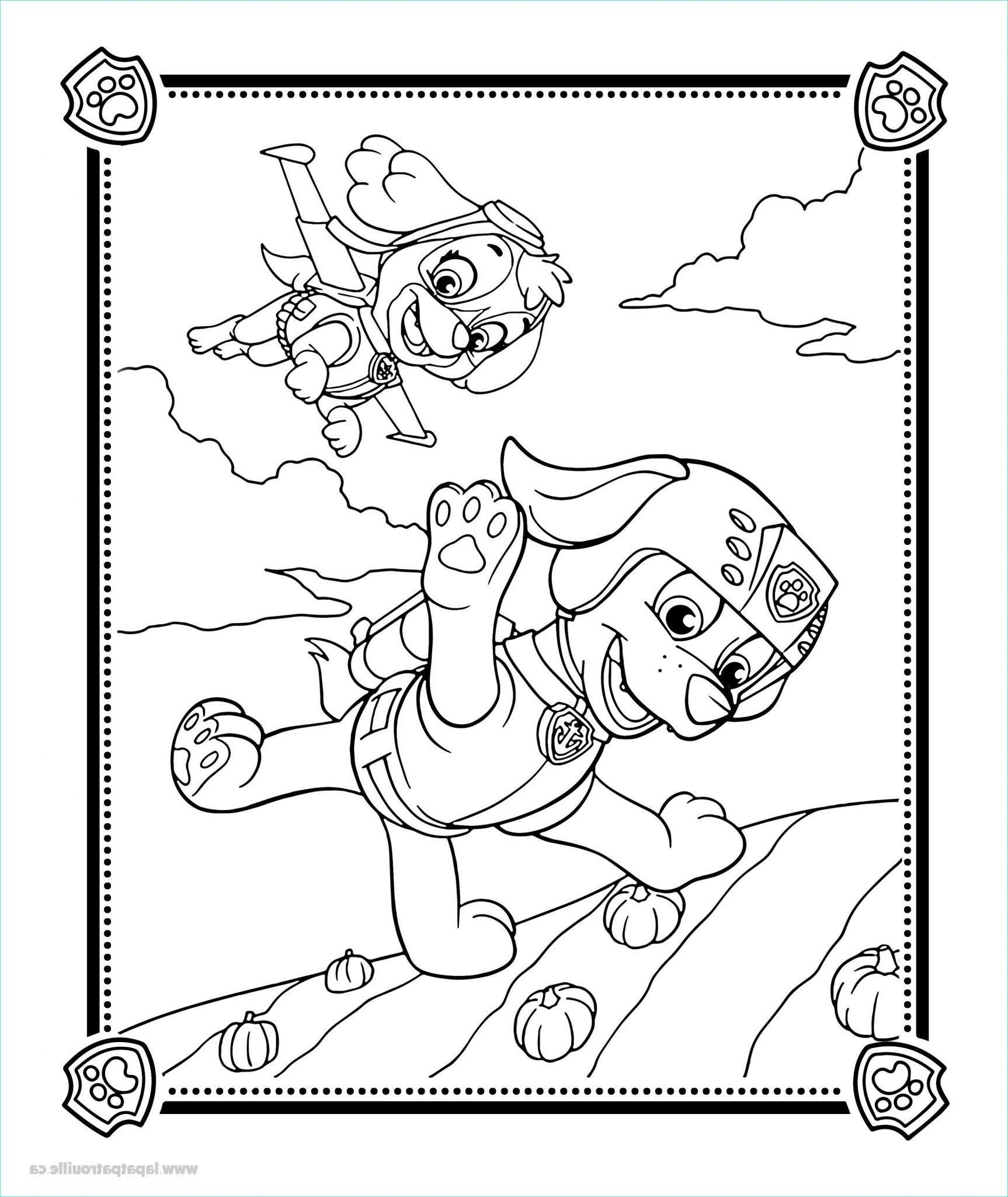 9 Élégant De Zuma Pat Patrouille Dessin Images  Coloriage  Coloriage