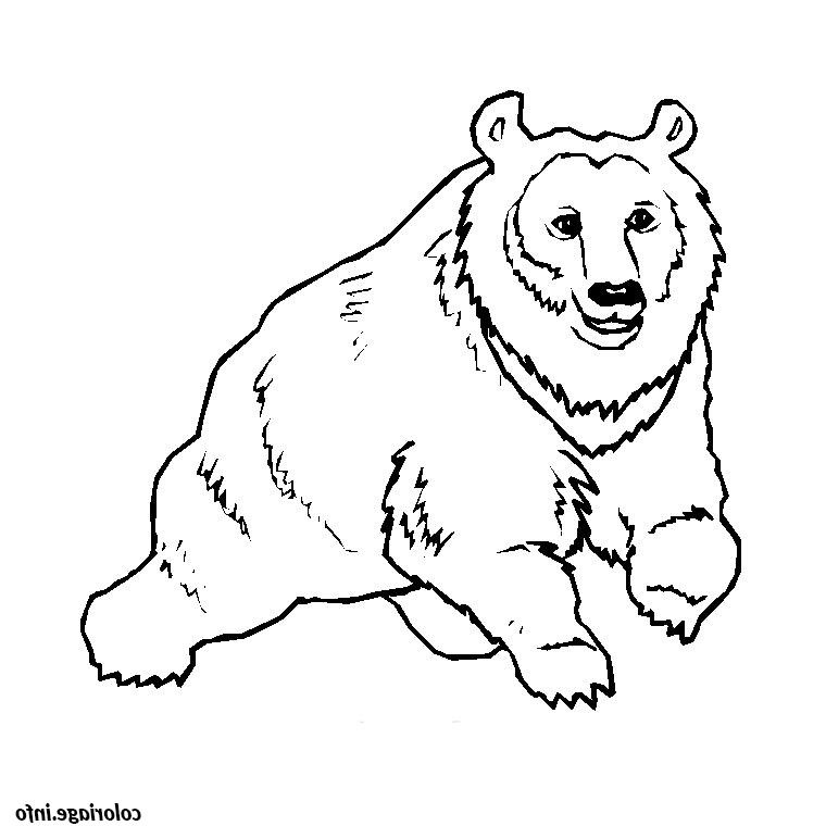 Animaux A Imprimer Bestof Stock Coloriage Animaux Sauvages Dessin