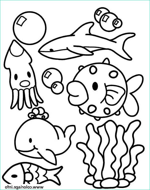 Animaux De La Mer Dessin Beau Photographie Coloriage Animaux De La Mer Et Des Oceans Mignon Enfants