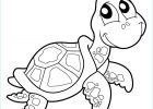 Animaux De La Mer Dessin Inspirant Stock tortue