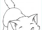 Chat à Colorier Unique Galerie Coloriage Chat Un Dessin à Imprimer Avec Tête à Modeler