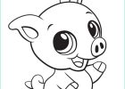 Coloriage Animaux Kawaii Élégant Photos Ce Petit Cochon Avec De Grands Yeux Te Faits Un Petit