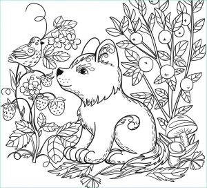 Coloriage Animaux Mignon Beau Photos Free Wild Animal Coloring Pages at Getcolorings