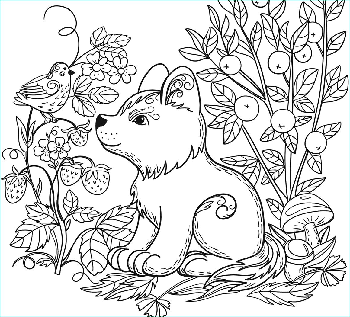 Coloriage Animaux Mignon Beau Photos Free Wild Animal Coloring Pages at Getcolorings