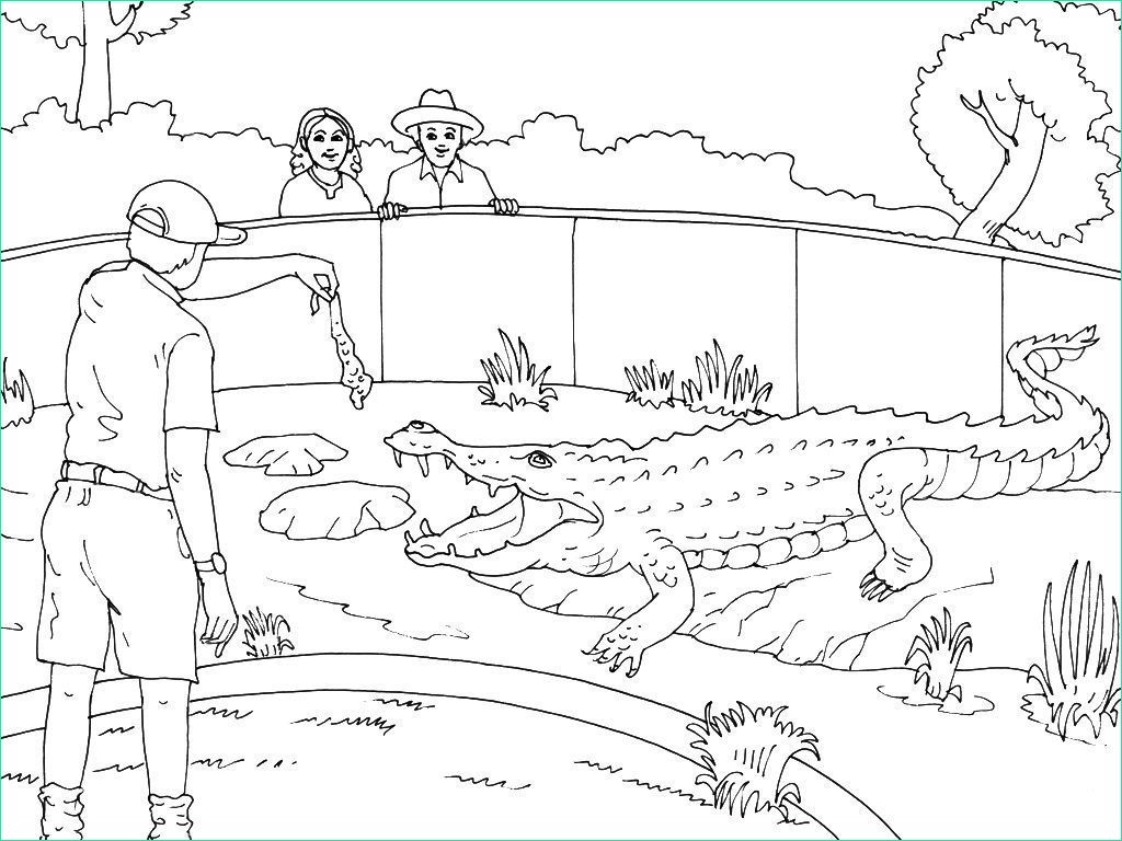 Coloriage Animaux Zoo Beau Images Coloriage Zoo 5 Coloriage Zoo Coloriages Animaux
