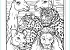 Coloriage Animaux Zoo Cool Stock Coloriage à Imprimer Coloriage Animaux Zoo 25