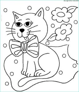 Coloriage Chat Beau Photographie Coloriage Chats Dessin Chats Chats Coloriage N°4091