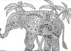 Coloriage Dificile Impressionnant Photographie Coloriage Adulte Animaux Elephant Difficile Dessin