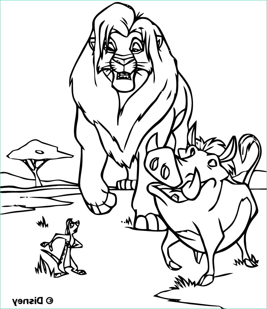 Coloriage Disney Roi Lion Inspirant Galerie Le Roi Lion 3 Coloriage Le Roi Lion Coloriages Pour