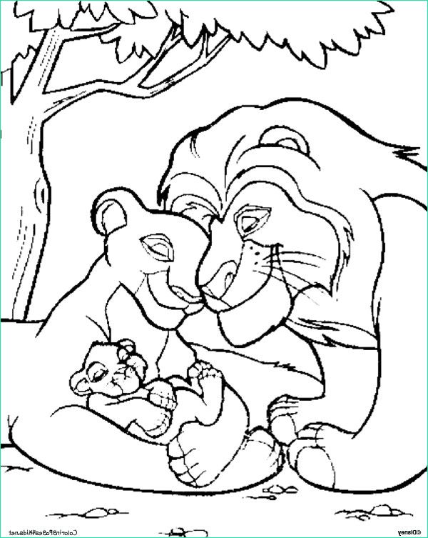 Coloriage Disney Roi Lion Unique Images Coloriage Le Roi Lion 15 Gratuit à Imprimer En Ligne