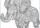 Coloriage Elephant Mandala Cool Galerie Elephant Mandala Coloring Pages Collection